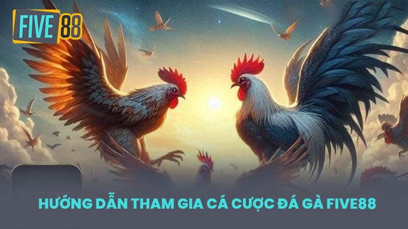 Hướng Dẫn Tham Gia Cá Cược Đá Gà FIVE88