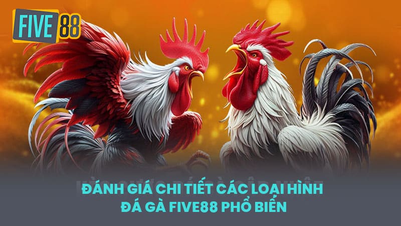 Đánh Giá Chi Tiết Các Loại Hình Đá Gà FIVE88 Phổ Biến